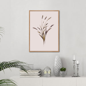 Wheat | POSTER