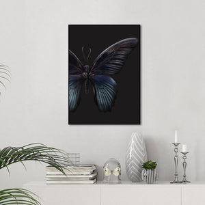 Black Butterfly | EINGERAHMTE BILDER