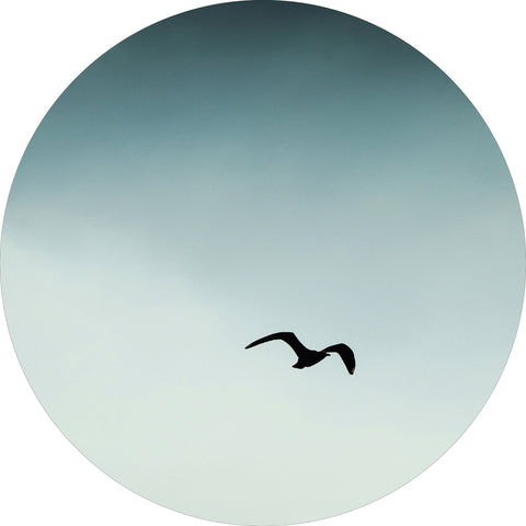 Seagul blue | CIRCLE ART