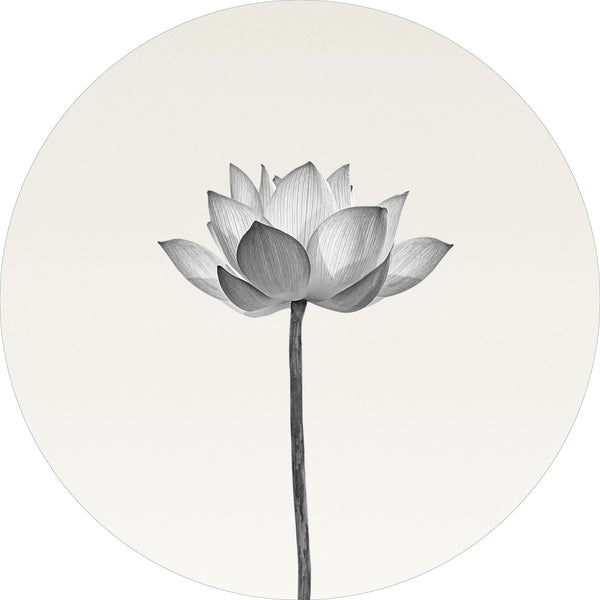 Lotus | CIRCLE ART