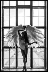 Angel dream 2 | EINGERAHMTE BILDER