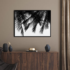 Black Palms | EINGERAHMTE BILDER