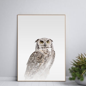 Misty Owl | EINGERAHMTE BILDER