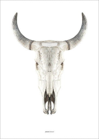 Cow Skull | POSTER