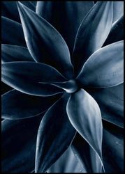 Dark plant 1 | EINGERAHMTE BILDER