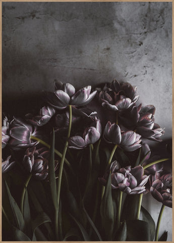 Dark tulips | EINGERAHMTE BILDER