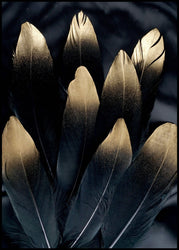 Golden feather | EINGERAHMTE BILDER