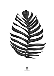 Jungle Leaf black | POSTER