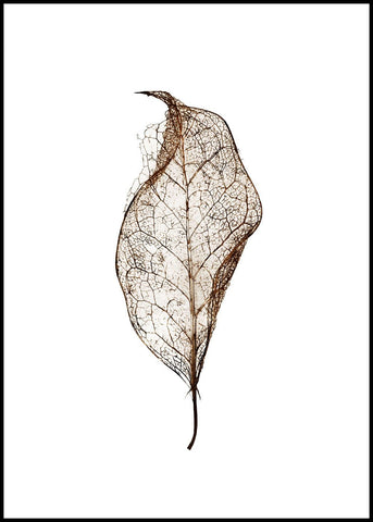 Leaf | EINGERAHMTE BILDER