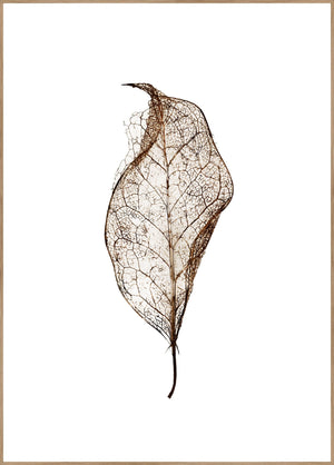 Leaf | EINGERAHMTE BILDER