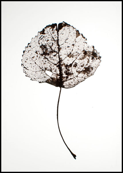 Leaf rustic | EINGERAHMTE BILDER