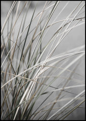 Mellow Grasses 1 | EINGERAHMTE BILDER