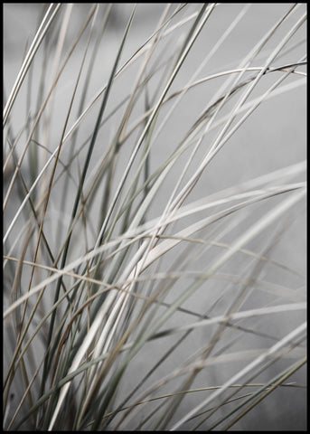 Mellow Grasses 1 | EINGERAHMTE BILDER