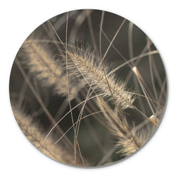 Mellow Grasses 2 | CIRCLE ART