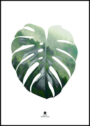 Monstera Leaf | EINGERAHMTE BILDER