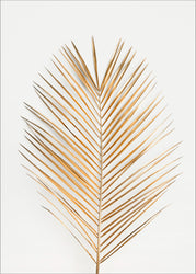 Palm Leaf Gold | POSTER