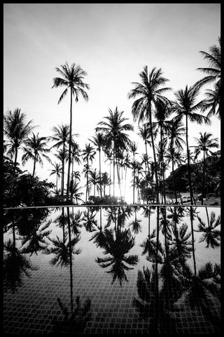 Palm Trees | EINGERAHMTE BILDER