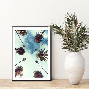 Palm sky 2 | POSTER