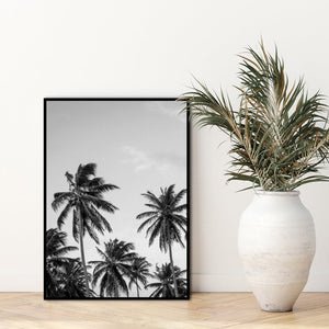 Palms in grey | EINGERAHMTE BILDER