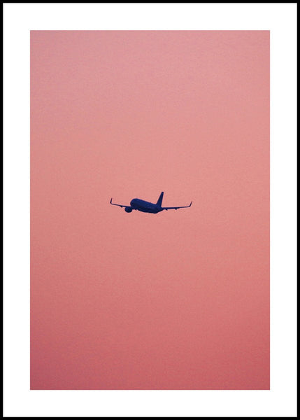 Pink flight | EINGERAHMTE BILDER