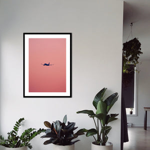 Pink flight | POSTER