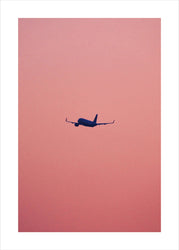 Pink flight | POSTER