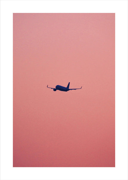 Pink flight | POSTER