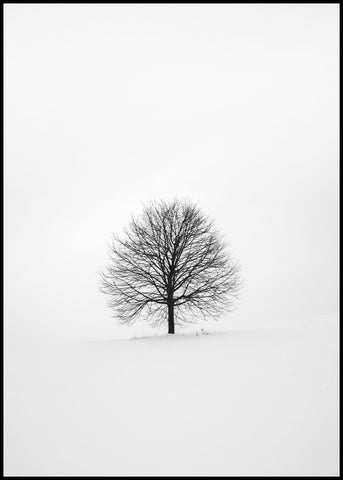 Solitary 1 | EINGERAHMTE BILDER