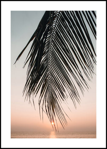 Sunset leaves | EINGERAHMTE BILDER