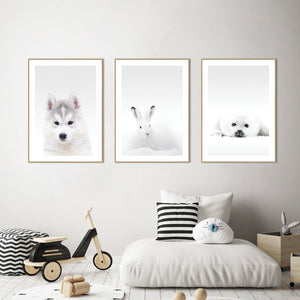 White Rabbit | EINGERAHMTE BILDER