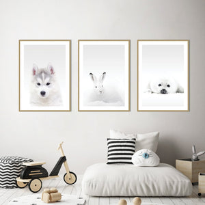 White Rabbit | POSTER