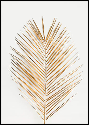 Palm Leaf Gold | EINGERAHMTE BILDER